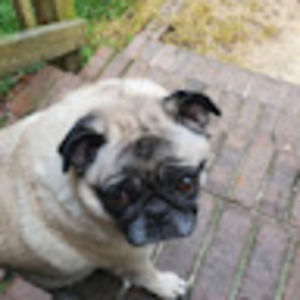 Meet your Posher, Scarlet